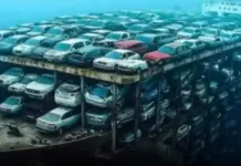 Do luxo ao fundo do mar: O naufrágio histórico do cargueiro Felicity Ace